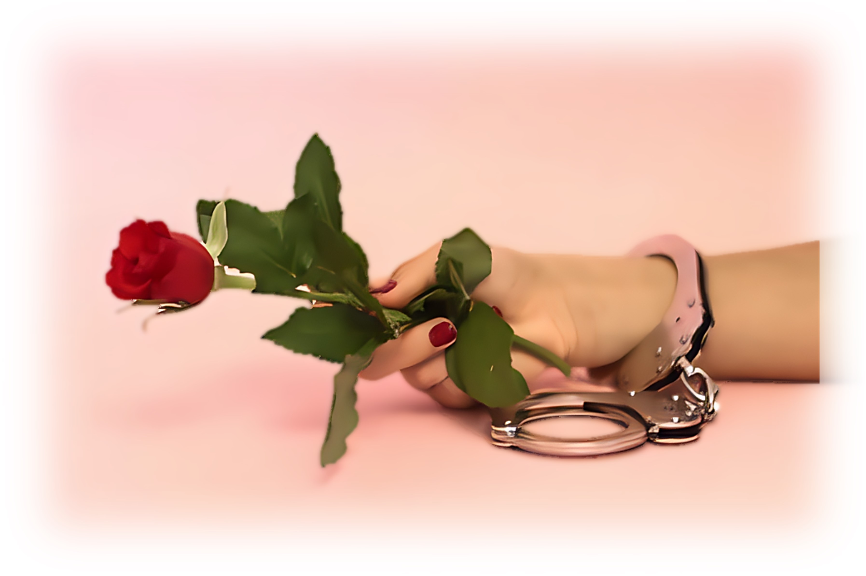 字母圈新手M如何選擇一個合適的S？