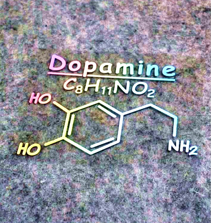 圈子里常說的多巴胺,內啡肽是什么意思?這和事后關懷有什么聯系呢?,字母圈軟件,字母圈app,sub,抖遇,aftercare,第2張 圈子里常說的多巴胺,內啡肽是什么意思?這和事后關懷有什么聯系呢?,003.jpg,字母圈軟件,字母圈app,sub,抖遇,aftercare,第2張